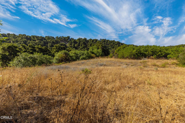 Detail Gallery Image 16 of 22 For 10331 Sulphur Mountain Rd, Ojai,  CA 93023 - – Beds | – Baths