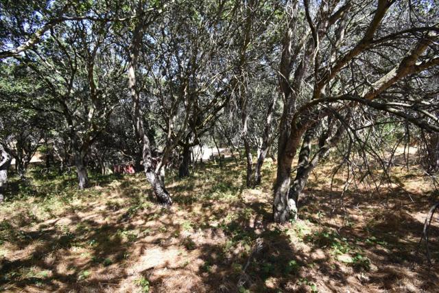 0 Alexander Lane, San Juan Bautista CA: https://media.crmls.org/mediaz/a53728e3-eb3c-4ac0-a927-c003ce1085a2.jpg