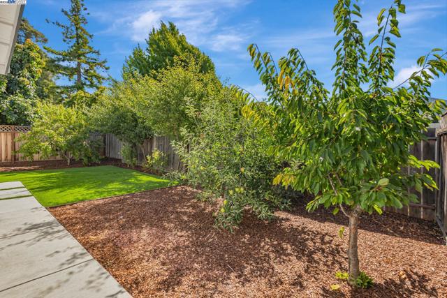 581 Kirk Ave, Sunnyvale CA: https://media.crmls.org/mediaz/a53f524b-9e08-4556-a1cf-d60addd28f4d.jpg