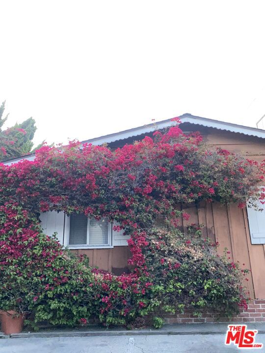 11319 1/4 Iowa Avenue, Los Angeles CA: https://media.crmls.org/mediaz/a540fc96-49a1-48ef-a952-b5c223d26c23.jpg