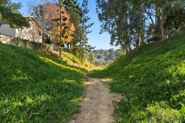 4186 Camino Islay, San Diego CA: https://media.crmls.org/mediaz/a54844f5-5b15-4e21-ad96-79b0bc7240cc.jpg
