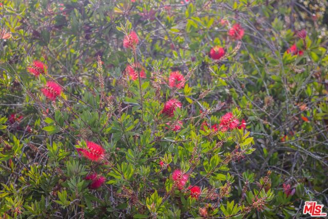 520 Barker Pass Road, Santa Barbara CA: https://media.crmls.org/mediaz/a551f693-ee38-44f5-beb4-693e89946393.jpg