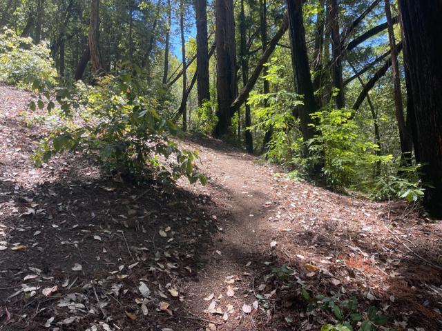 510 Warren Drive, Santa Cruz CA: https://media.crmls.org/mediaz/a558ac6a-5892-488d-b343-e06b71abfae2.jpg