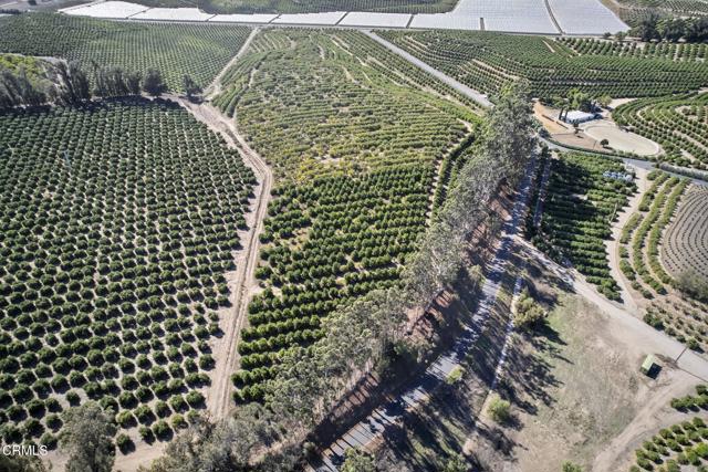 Detail Gallery Image 3 of 15 For 4363 Sand Canyon Rd, Somis,  CA 93066 - – Beds | – Baths