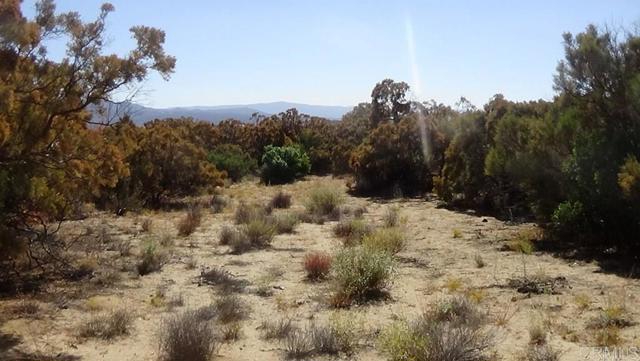 Detail Gallery Image 7 of 41 For 37245 Old Forest Rd, Anza,  CA 92539 - – Beds | – Baths