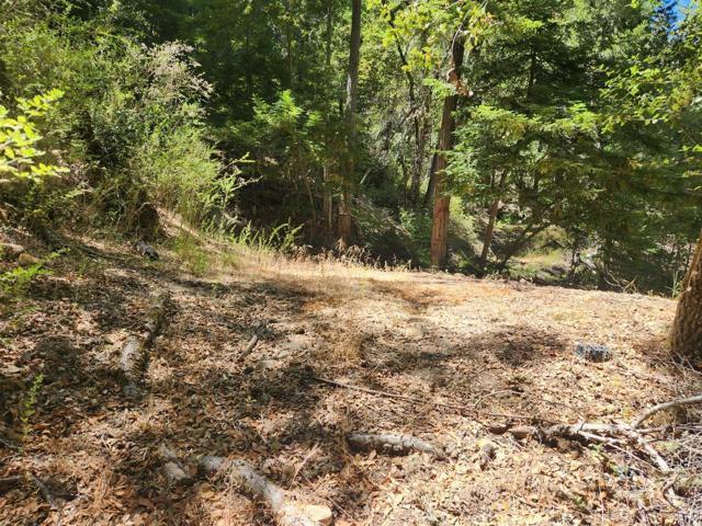 510 East Road, Boulder Creek CA: https://media.crmls.org/mediaz/a561fb10-516e-44b0-902d-1a3272e52fa0.jpg