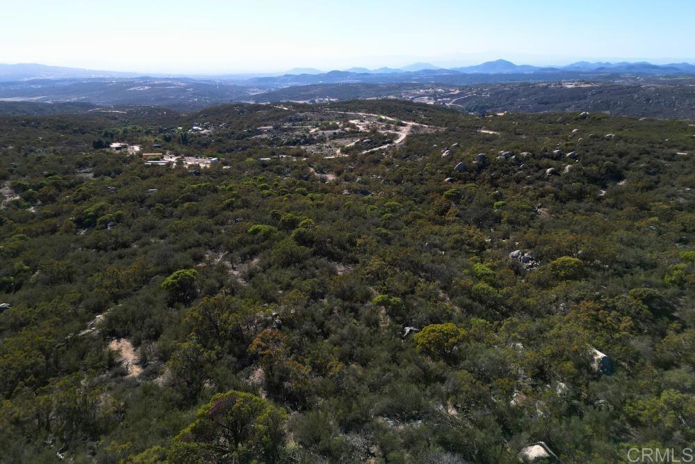 MLS #PTP2507282 image #42