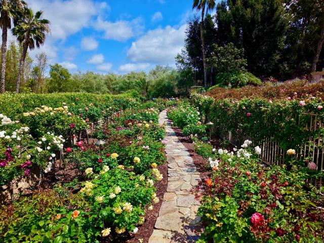 17037 El Mirador, Rancho Santa Fe CA: https://media.crmls.org/mediaz/a5712ccb-ac0b-4e49-9ce8-8927fddc6855.jpg