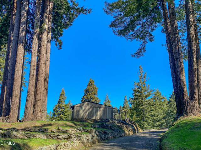 15137 Mitchell Creek Drive, Fort Bragg CA: https://media.crmls.org/mediaz/a5791ca8-9871-45dc-b385-a43435660b71.jpg