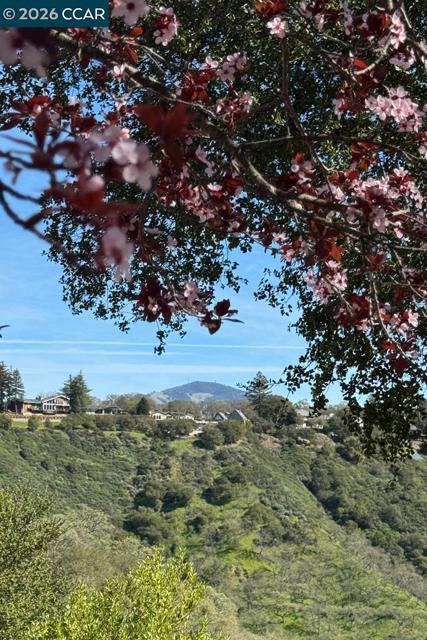 Image 54 of 55 For 2886 Saklan Indian Dr