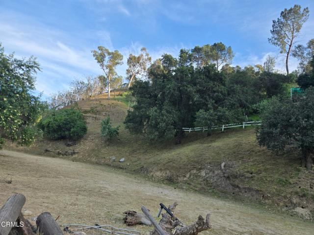 Detail Gallery Image 6 of 49 For 9850 Wentworth St, Los Angeles,  CA 91040 - 2 Beds | 2 Baths