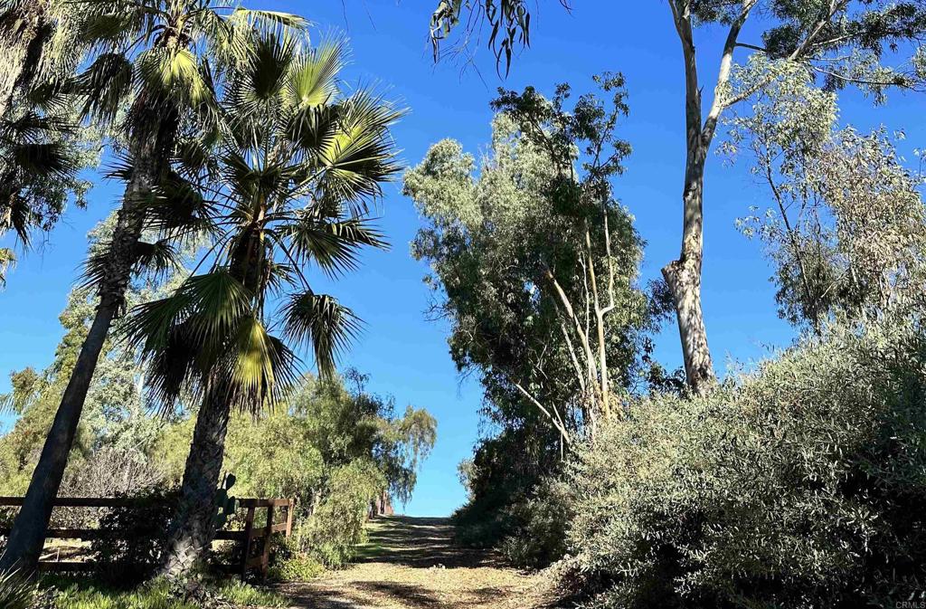 MLS #NDP2506150 image #10