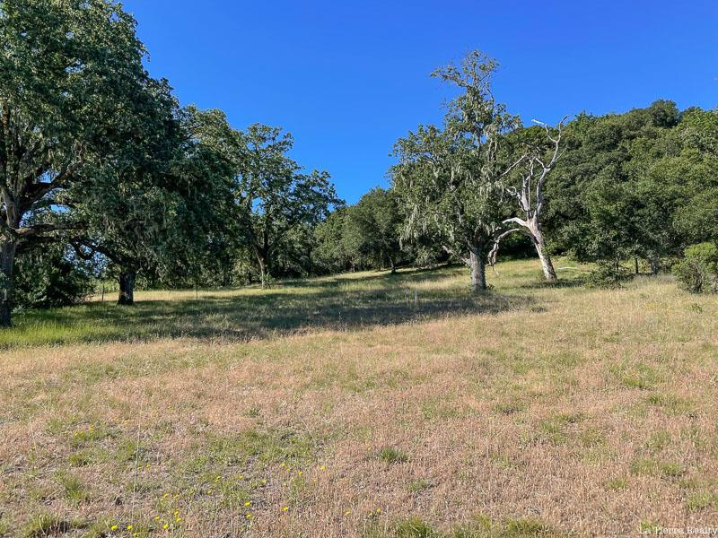 MLS #ML81896622 image #12