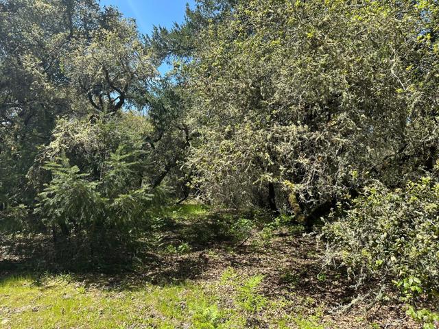 0 Hidden Glen Drive, Scotts Valley CA: https://media.crmls.org/mediaz/a59d9099-db0e-4eef-8926-507fc92a5333.jpg