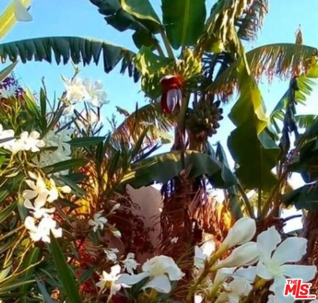 41 W Warner Street, Ventura CA: https://media.crmls.org/mediaz/a5a44a04-8f97-4802-86c6-209999ebff9e.jpg