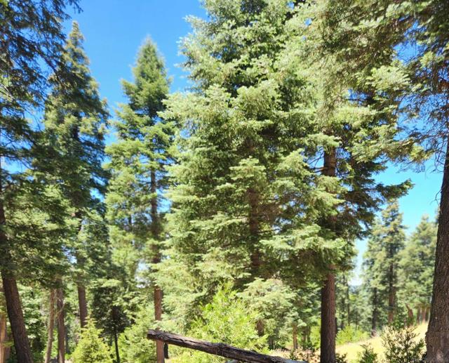 0 Conifer Lane, Palomar Mountain CA: https://media.crmls.org/mediaz/a5a7155a-ab9c-439b-b76c-ef9eb3f463aa.jpg