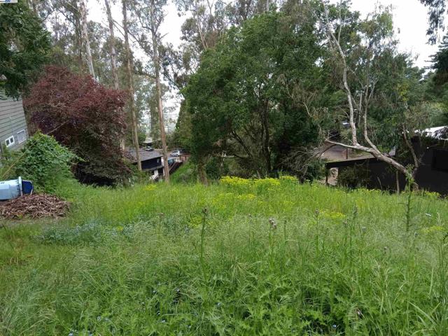 1375 Queens Road, Berkeley CA: https://media.crmls.org/mediaz/a5a82c19-7fdc-4af6-a6b6-5f55631f2283.jpg