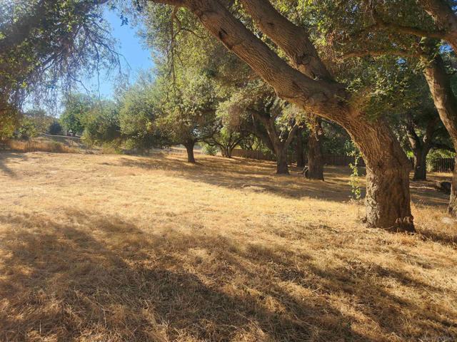 0 Highway 67, Ramona CA: https://media.crmls.org/mediaz/a5aace4d-6699-4d9f-8173-fd434d46737b.jpg