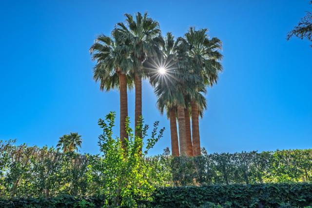 Image 46 of 57 For 72776 Joshua Tree Street