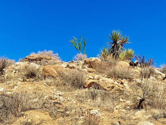 120 Benmar Trail, Morongo Valley CA: https://media.crmls.org/mediaz/a5c2f0c6-a4c9-4b48-8940-614abdddba37.jpg