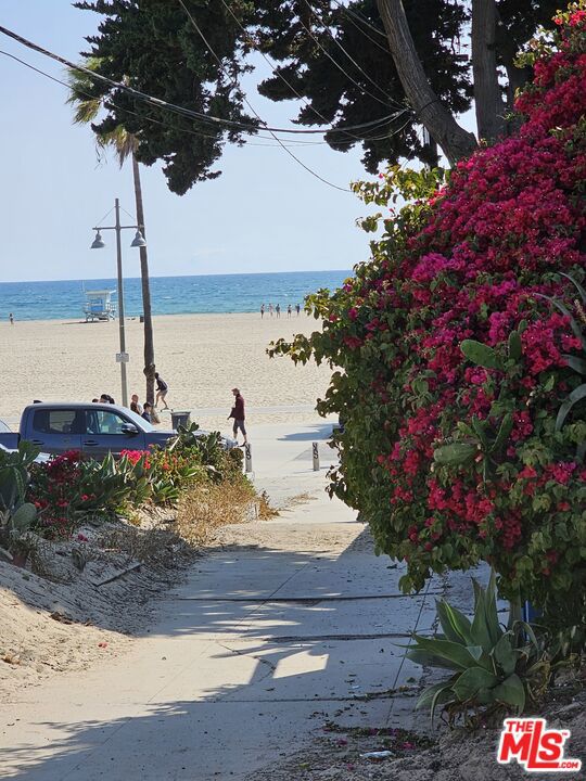 17 Sunset Avenue, Venice CA: https://media.crmls.org/mediaz/a5d8c5e6-ef80-46ba-8826-a54db179cbf2.jpg