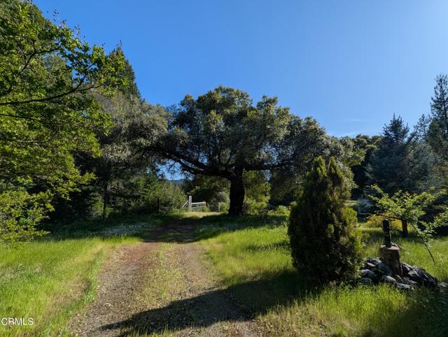Detail Gallery Image 22 of 49 For 22346 Rickard Ranch Rd, Point Arena,  CA 95468 - – Beds | – Baths