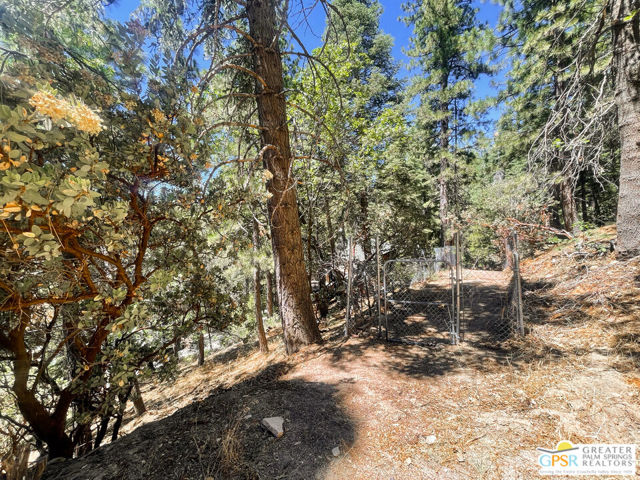 6307 Cedar Court, Angelus Oaks CA: https://media.crmls.org/mediaz/a5ebe7e4-81af-41cd-8a61-4a9fc1fa291b.jpg
