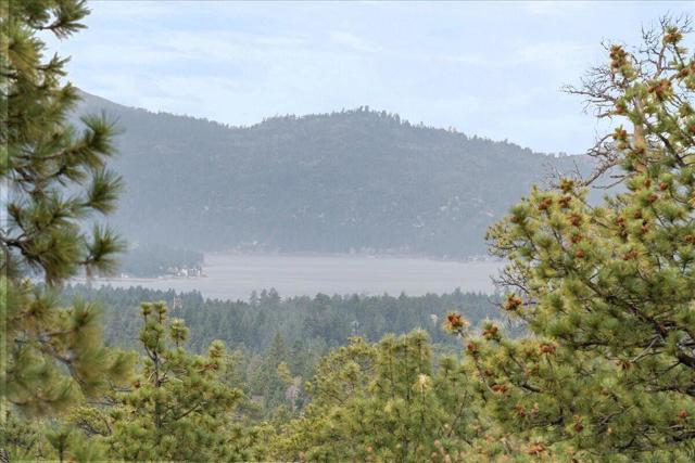 719 Villa Grove Avenue, Big Bear CA: https://media.crmls.org/mediaz/a5f4d925-6a3a-4f6d-89f5-525d07cf1f30.jpg