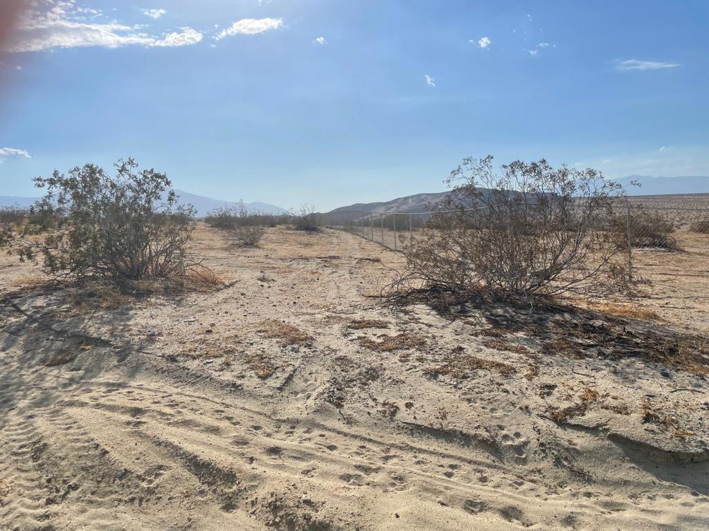 MLS #219138408DA image #4