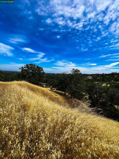 0 Lot 22 Rolling Oaks, Cottonwood CA: https://media.crmls.org/mediaz/a6005f43-c768-40d1-acba-2512f01565bf.jpg