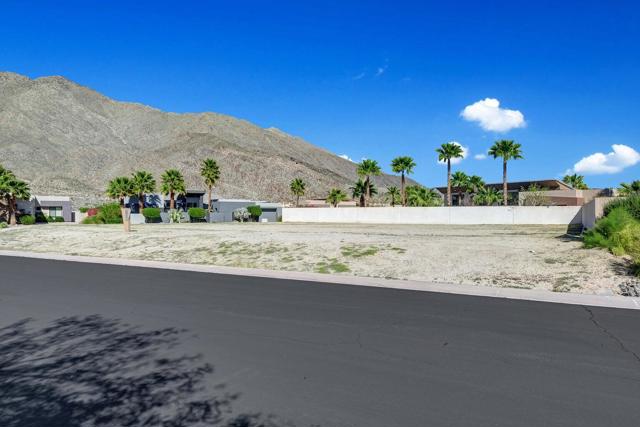 250 Lautner Lane, Palm Springs CA: https://media.crmls.org/mediaz/a604cebb-87fd-40a2-8adf-44357bb94e13.jpg