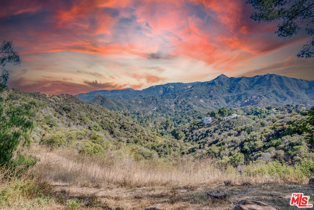 2621 TOPANGA SKYLINE Drive photo 5
