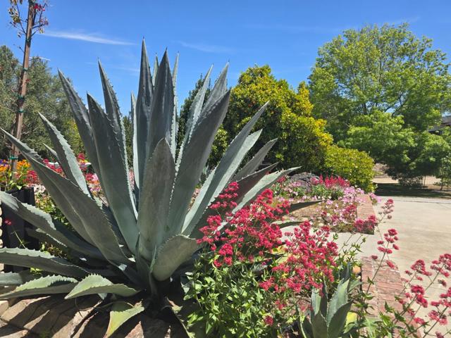 2 MESA DEL SOL,  CA: https://media.crmls.org/mediaz/a60a6738-5f7f-425a-8765-86ba23bf0fbb.jpg