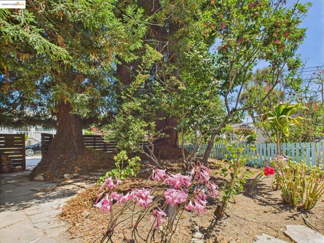 1545 Mariposa St, Richmond CA: https://media.crmls.org/mediaz/a60b3a45-f77e-4a02-8bfb-12a28b6e88f7.jpg
