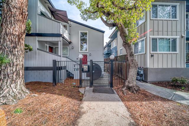 66 Newell Road, East Palo Alto, California 94303, 2 Bedrooms Bedrooms, ,2 BathroomsBathrooms,Condominium,For Sale,Newell,ML81979609