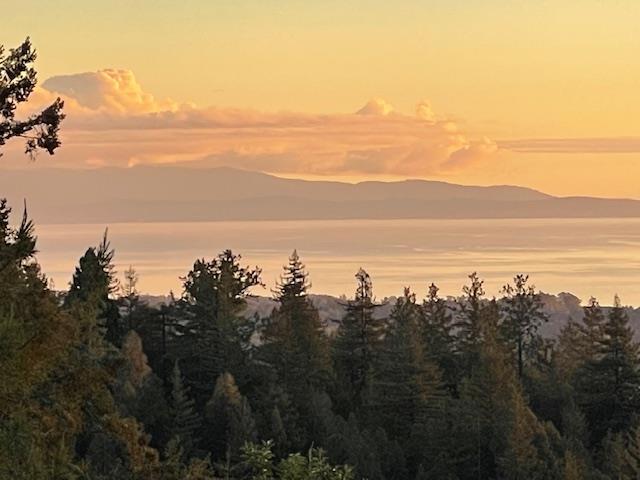 132 Pax Place Court, Aptos CA: https://media.crmls.org/mediaz/a610e116-db5b-42c8-9537-8dbd777032ea.jpg