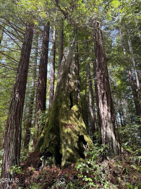 Detail Gallery Image 10 of 41 For 23501 Branscomb Rd, Westport,  CA 95488 - – Beds | – Baths