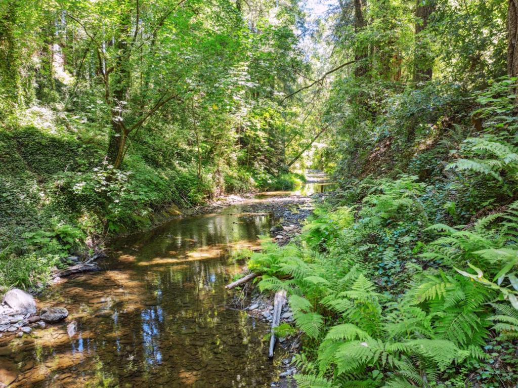 MLS #ML82015041 image #36