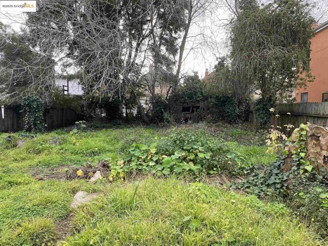1100 Park AVE, Alameda CA: https://media.crmls.org/mediaz/a61b223e-ad2b-41cd-b562-8fb84309bd42.jpg