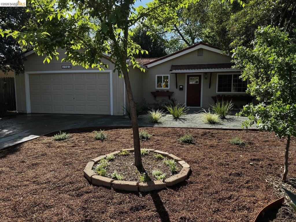 1501 Madrone LN