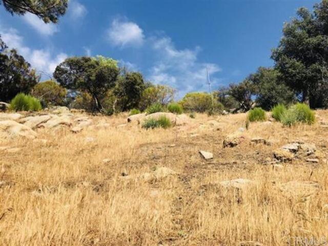 8079 Pine Ct, Pine Valley, California 91962, ,Land,For Sale,8079 Pine Ct,CRPTP2400183