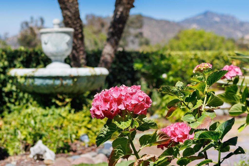 https://media.crmls.org/mediaz/a63f9d82-b5be-48de-9f2b-43cb1442a4c4.jpg?preset=X-Large