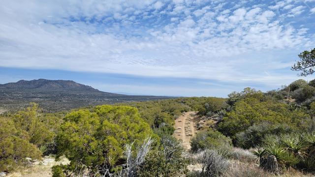 0 Palace Drive, Mountain Center CA: https://media.crmls.org/mediaz/a6413926-c3d6-4b1d-b1c7-96eb476d9a35.jpg