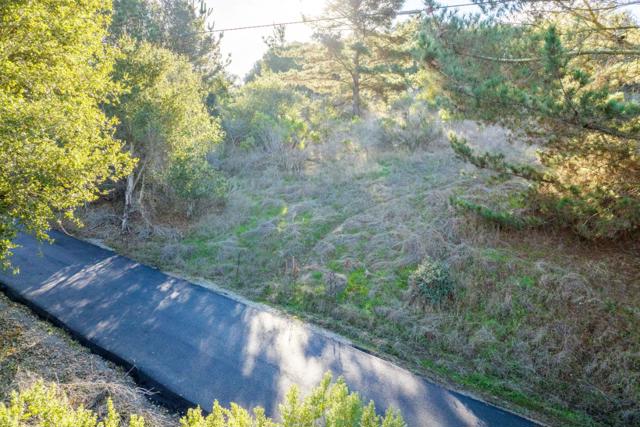 19378 Oak Ridge Drive,  CA: https://media.crmls.org/mediaz/a641d42f-8298-445b-ba74-1588578e84f0.jpg