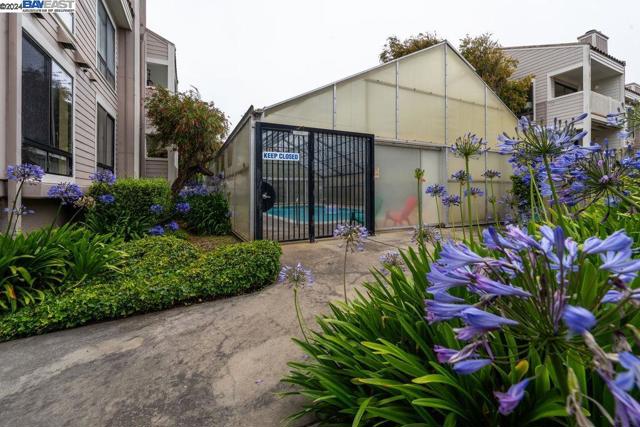 402 Laurel, Half Moon Bay, California 94019, 2 Bedrooms Bedrooms, ,2 BathroomsBathrooms,Condominium,For Sale,Laurel,41067718