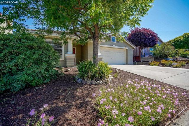 764 Steffa St, Bay Point CA: https://media.crmls.org/mediaz/a6531cb3-e17f-443b-9969-c41ac6c67630.jpg
