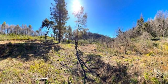 11035 Empire Grade, Santa Cruz CA: https://media.crmls.org/mediaz/a656e232-5116-4a1c-805b-39de0a4c7d22.jpg