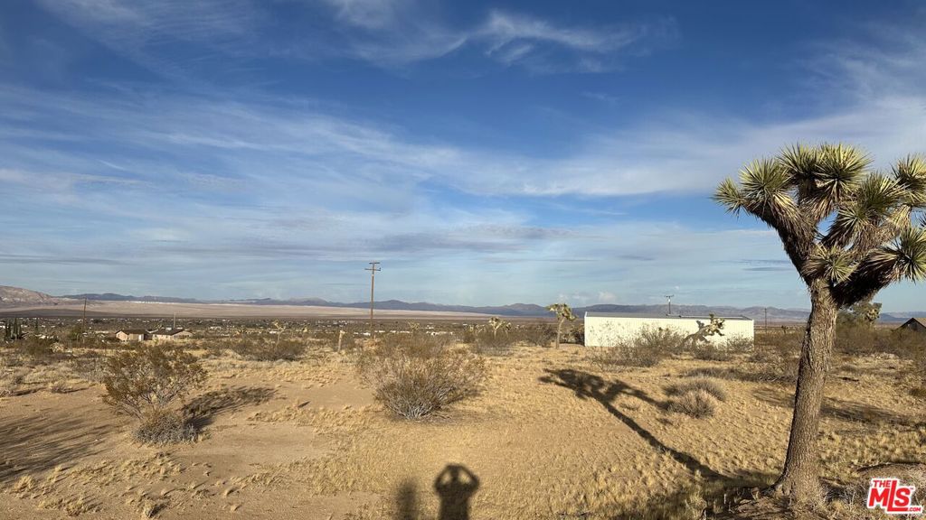 MLS #24466207 image #5