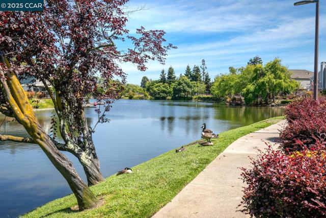 23 Shepardson Ln, Alameda CA: https://media.crmls.org/mediaz/a668995a-bd16-4342-b16b-5c7a5add3671.jpg