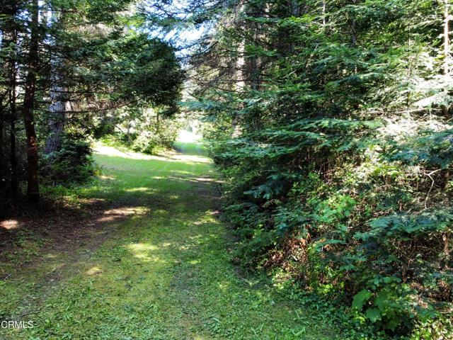 Detail Gallery Image 2 of 23 For 44551 Raven Ln, Mendocino,  CA 95460 - – Beds | – Baths